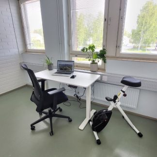 Etätyöhuone - Lohi