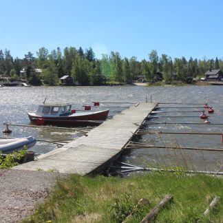 Tapionviiki A